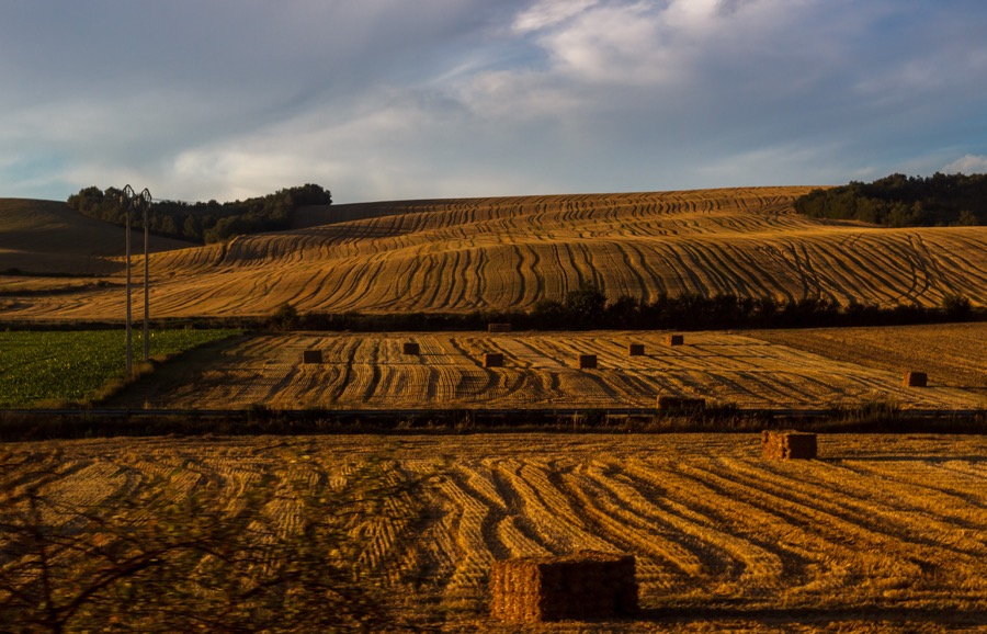 VINUM Basque-winery