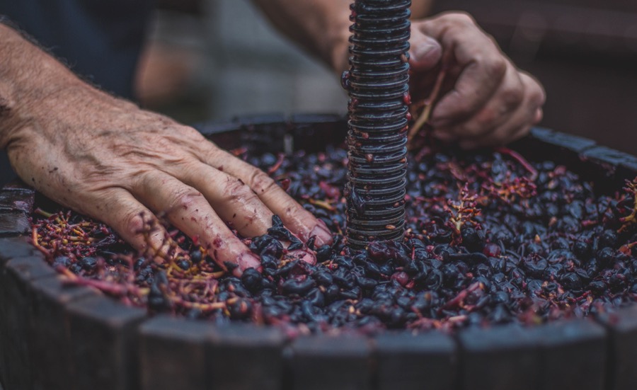 grape-preparation