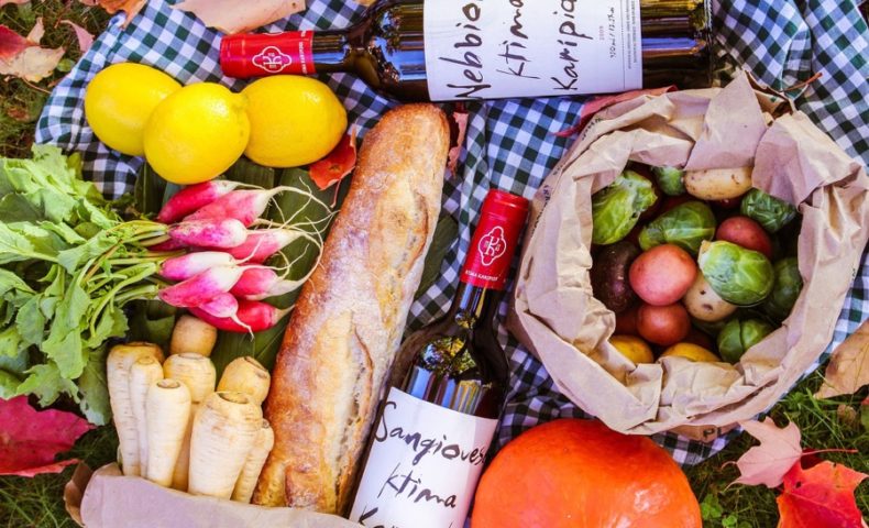 VINUM Food-and-wine-picnic